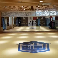 XPE Mat For Boxing Jodo MMA