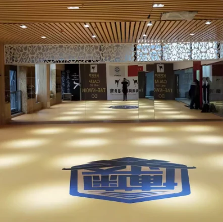 XPE Mat For Boxing Jodo MMA